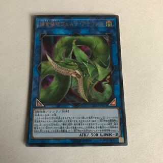 捕食植物ヴェルテ・アナコンダ