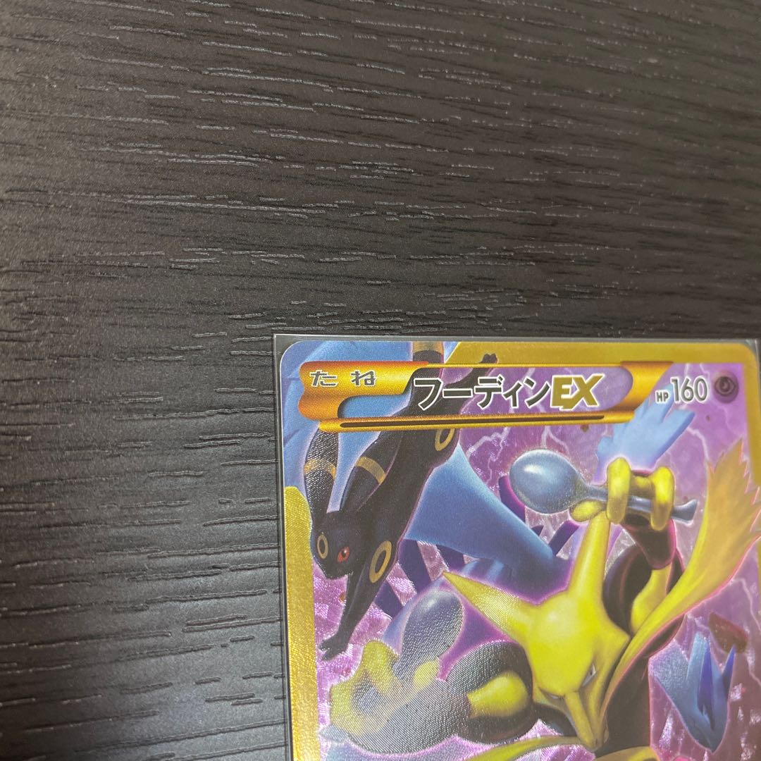 フーディンEX UR