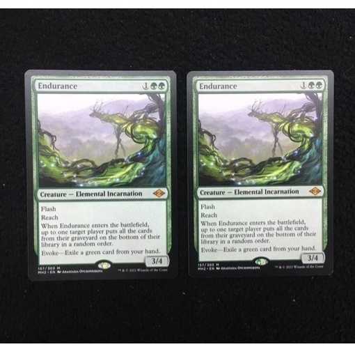 忍耐/Endurance　英語　2枚