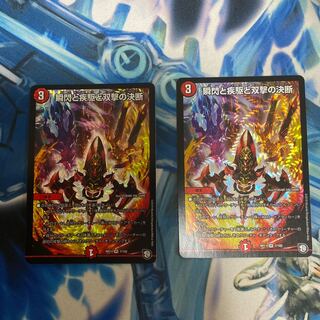 瞬閃と疾駆と双撃の決断