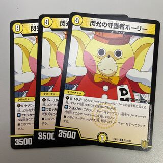 閃光の守護者ホーリー