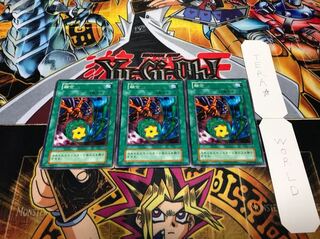 融合 初期 ノーマル 3枚セット 3枚