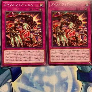 【N】ダイノルフィア・シェル 2枚 BACH-JP071