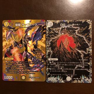 煌龍 サッヴァーク