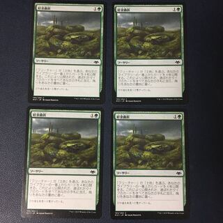 Winding Way 4-Piece Set