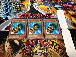 ファイバーポッド 2期ver ノーマル 3枚セット