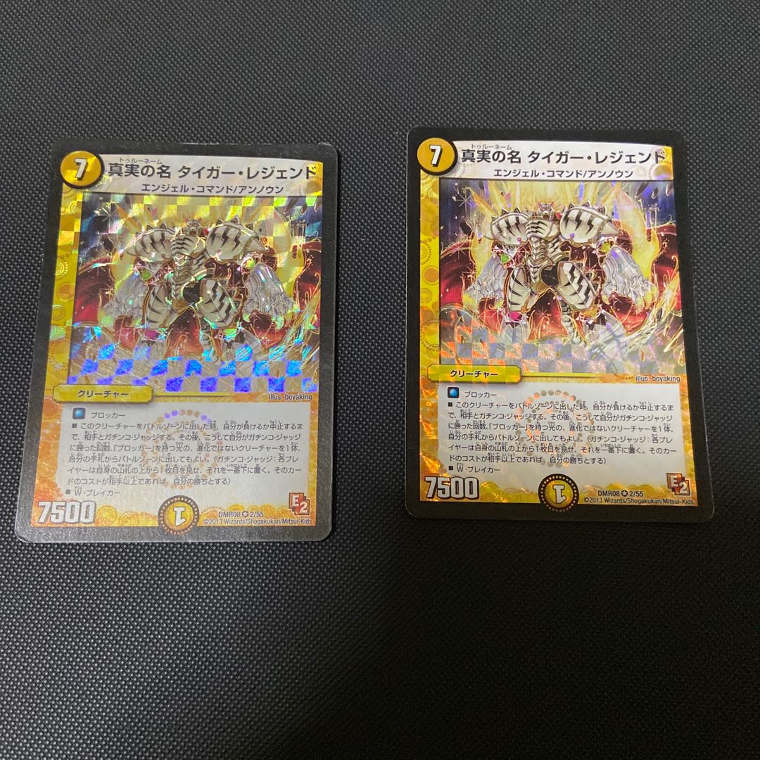 真実の名 タイガー・レジェンド ジャンク