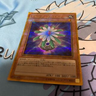 グローアップ・バルブ ゴールドシークレットレア