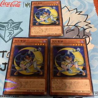 月光蒼猫 パラレル ノーマル