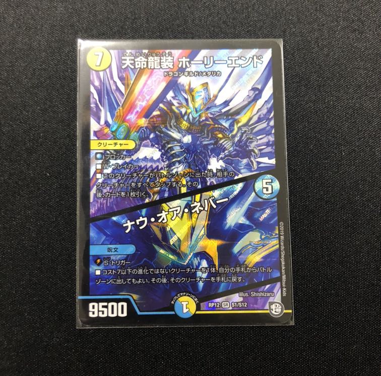天命龍装ホーリーエンド/ナウオアネバー