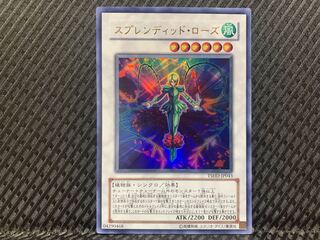 【ぽぽたん】遊戯王  -510  スプレンディッド・ローズ ウルトラ