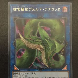 早い者勝ち　遊戯王　捕食植物ヴェルテアナコンダ　ウルトラ
