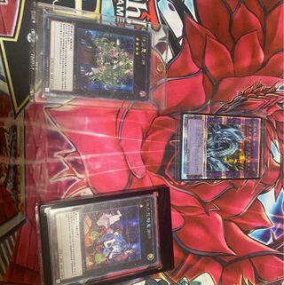 遊戯王オリパ　低額オリパ550円全600P