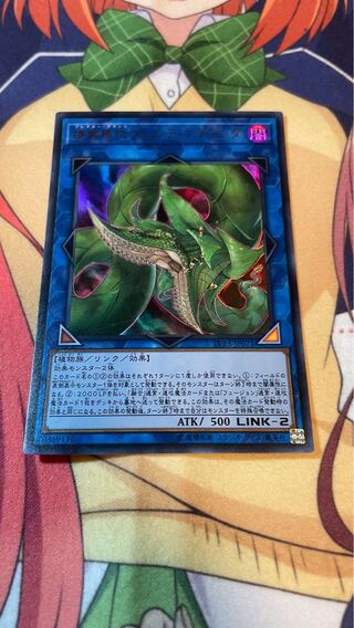 捕食植物ヴェルテ・アナコンダ ウルトラレア