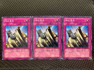 【ぽぽたん】遊戯王 4381 神の宣告 3枚 ノーマル
