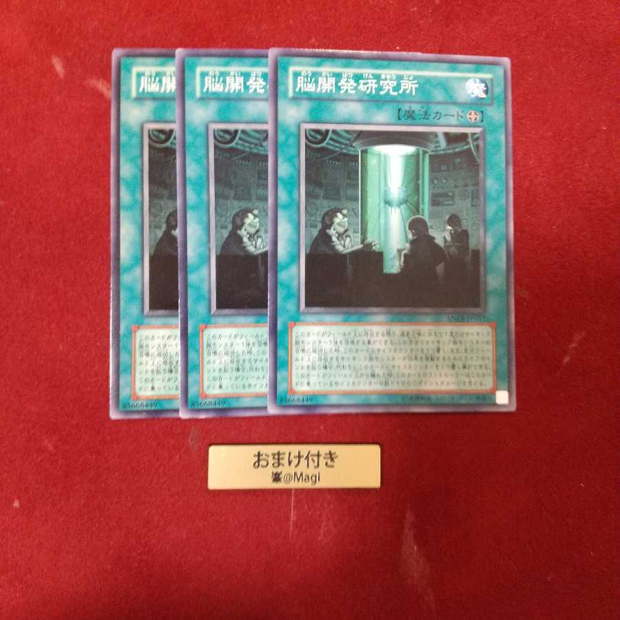 脳開発研究所 ノーマル