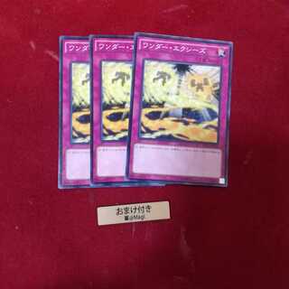 ワンダー・エクシーズ ノーマル