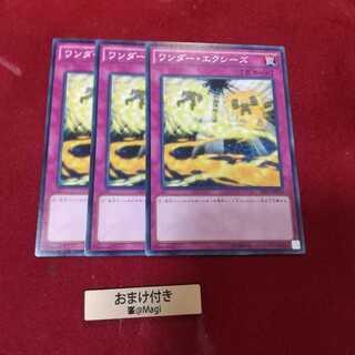 ワンダー・エクシーズ ノーマル