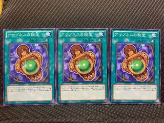 【ぽぽたん】遊戯王 3909 アマゾネスの秘宝 3枚 ノーマル