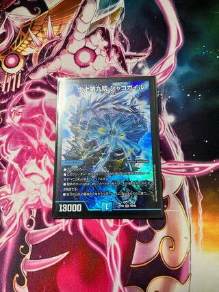 水上第九院 シャコガイル