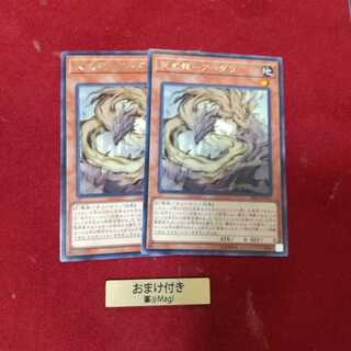 天威龍-アーダラ レア