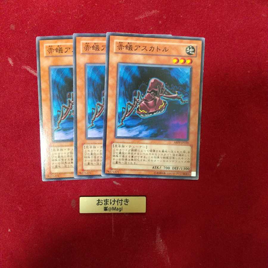 赤蟻アスカトル ノーマル　他オーダー