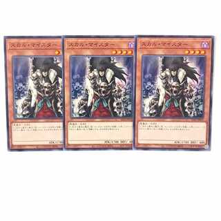 スカル・マイスター ノーマル3枚