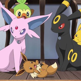 もちしば様専用ページ