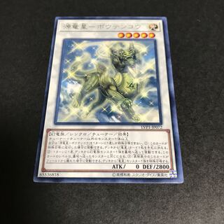 源竜星-ボウテンコウ