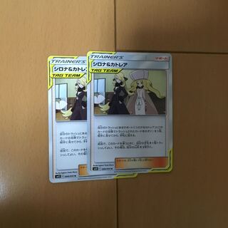 シロナ カトレア2枚