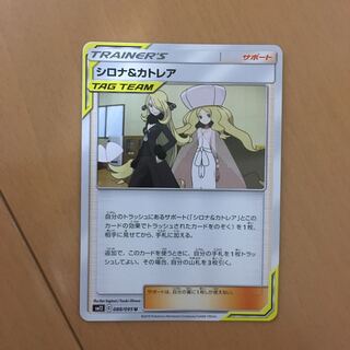 シロナ カトレア