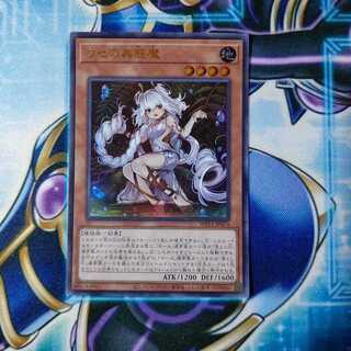 Traptrix Genlisea Ultra Rare