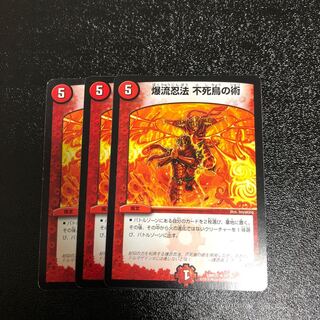 爆流忍法 不死鳥の術