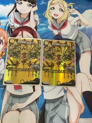 黙示賢者ソルハバキ