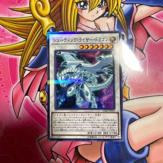 シューティング・ライザー・ドラゴン