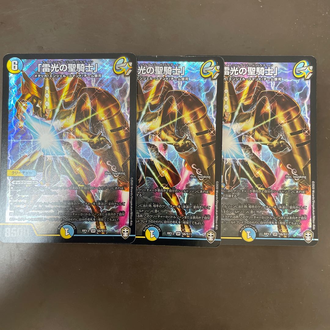 「雷光の聖騎士」