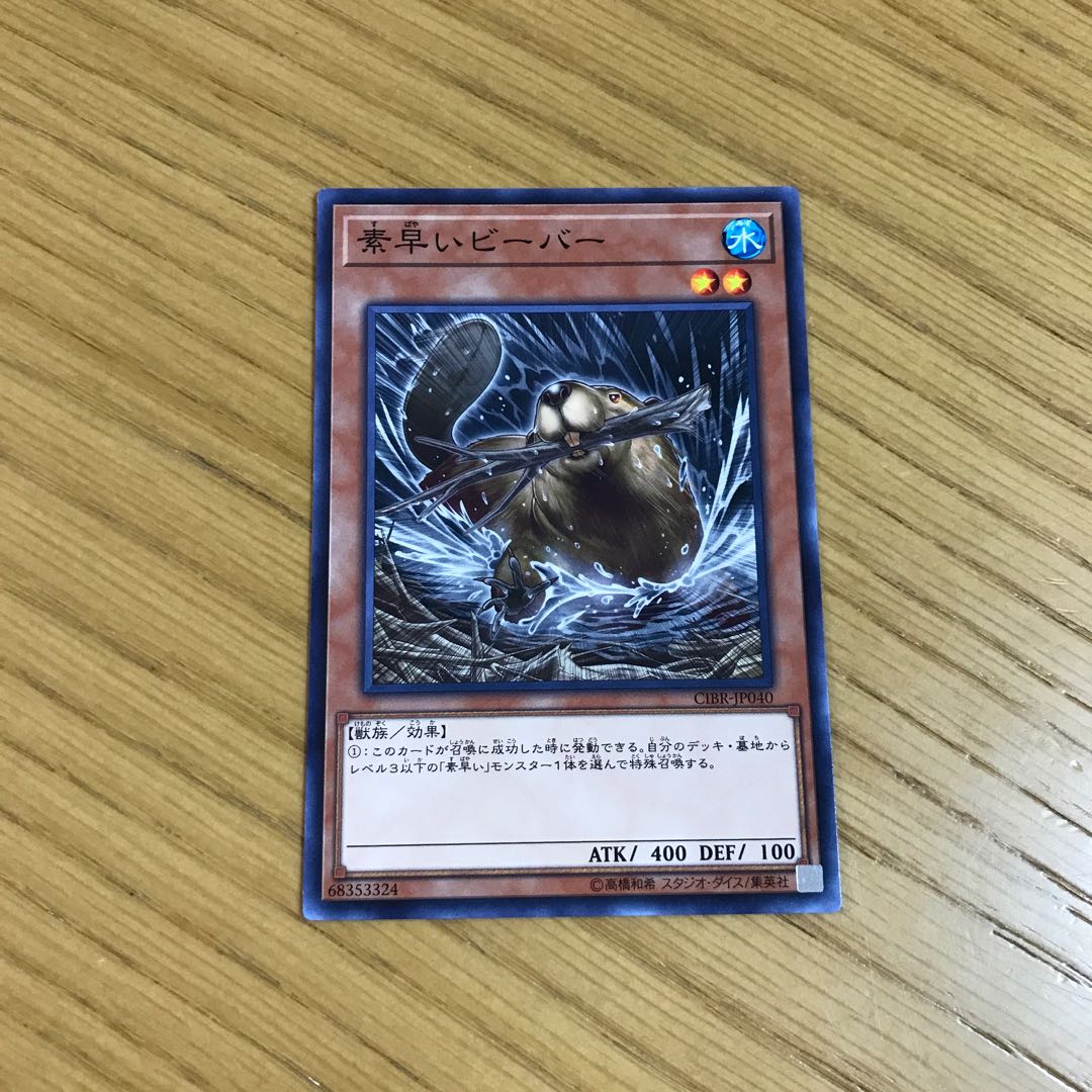 Nimble Beaver Normal