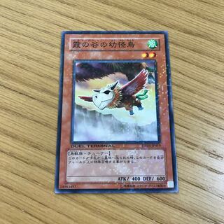 Mist Valley Baby Roc Parallel Normal