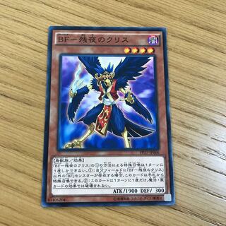 BF- Ku Squirrel Normal of Remaining Night