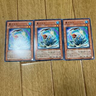 裏ガエル ノーマル