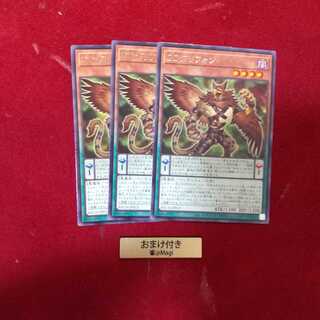 DDグリフォン レア