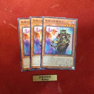 熟練の栗魔導士 ノーマル