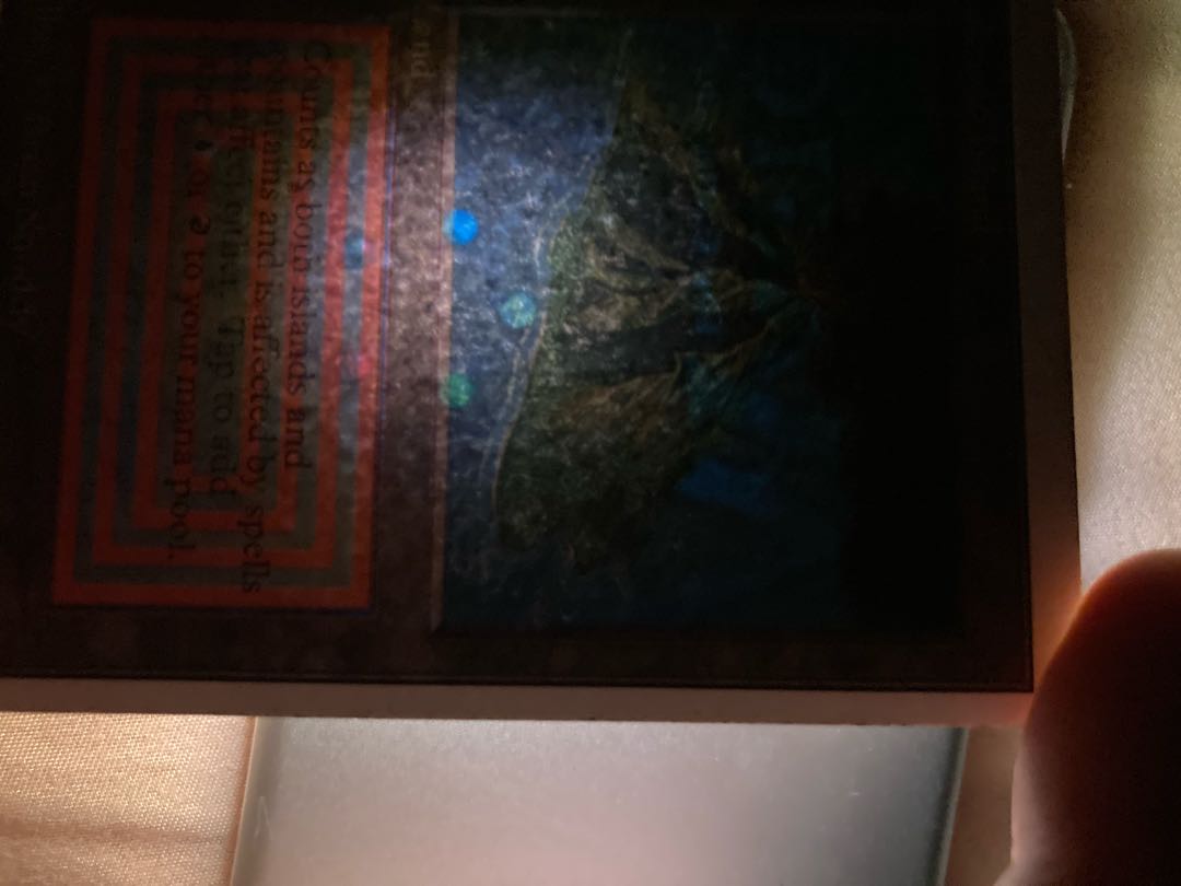 volcanic island ゆっけ様　専用