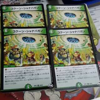 コクーンシャナバガン4枚