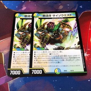 サイゾウミスト 2枚