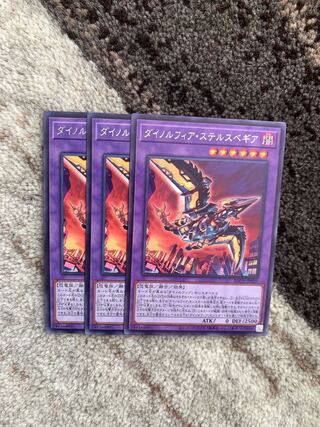 Dynorphia stealthbegia rare, 3 handsome handsome handsome handsome