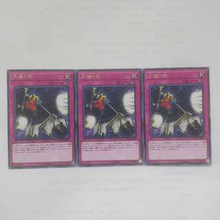 54 大捕り物 3枚 鮭イクラ商店