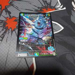 ロールモデルタイガー