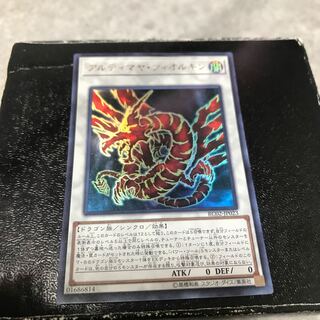 アルティマヤ・ツィオルキン ウルトラレア