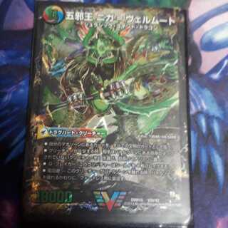 ニガヴェルムート